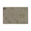 Ziegler Hand-Knotted High-Quality Beige Area Rug