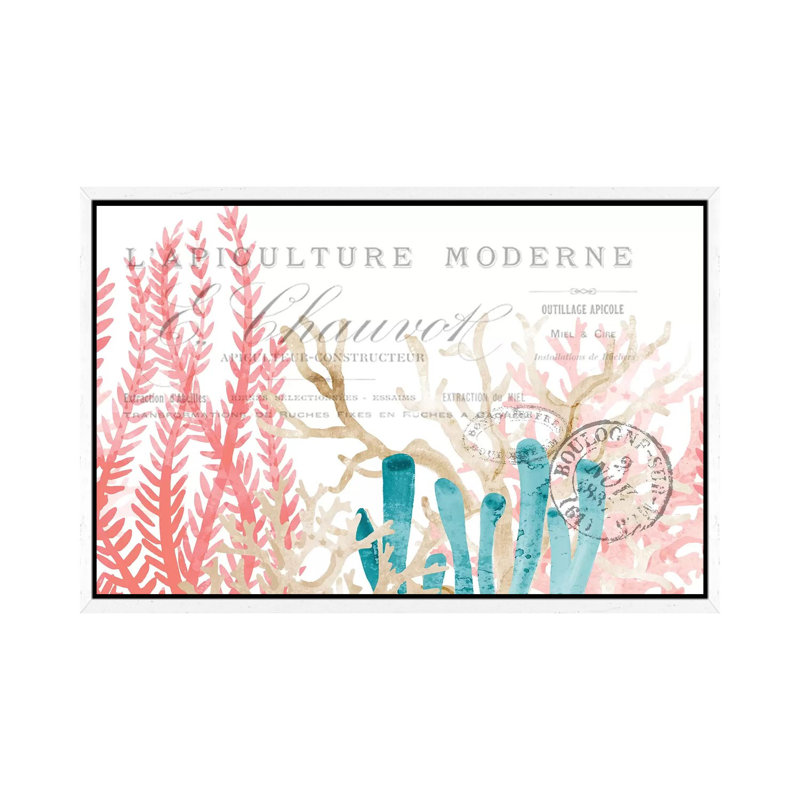 Coral Cove I by Kimberly Allen - Print on Canvas, White Framed, 66.04 cm H x 45.72 cm W