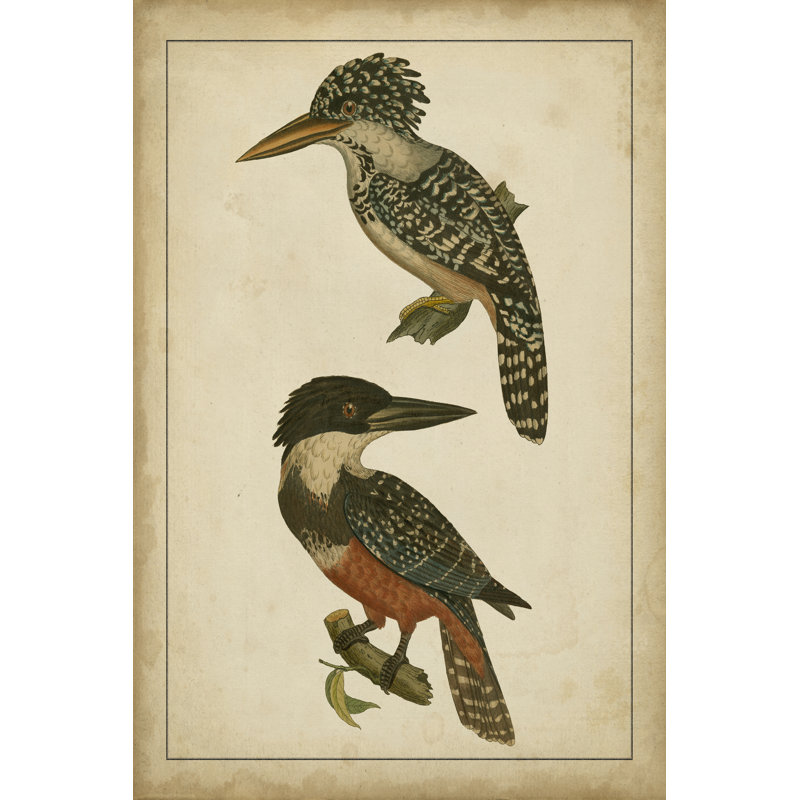 Vintage Kingfishers II - Wrapped Canvas Art Prints, 122cm H x 81cm W x 3.8cm D