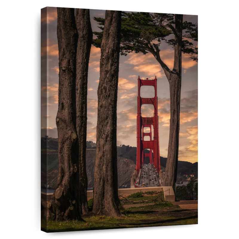 Lilie Golden Gate Through Trees, 45" H x 30" W