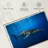 Brampt Whale Shark In The Blue-108135098