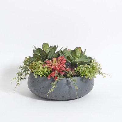 PLANT 14IN Round Succulent Arrangement, Natural Pot