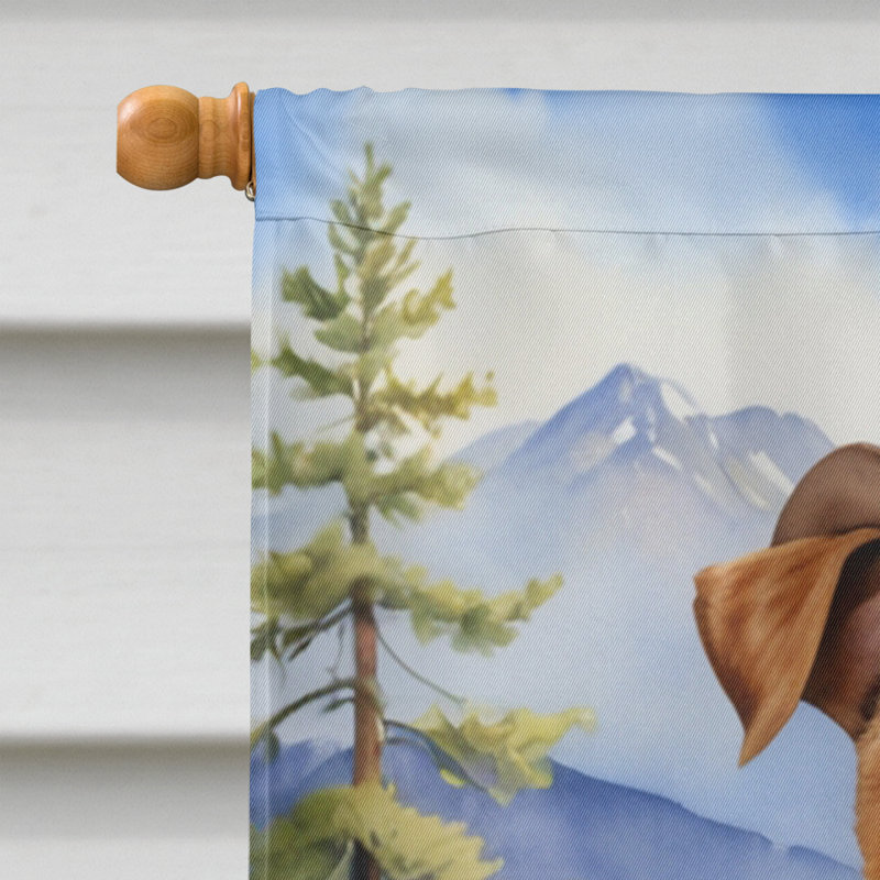 Drapeau Cowboy Welcome House, Lakeland Terrier