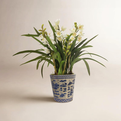 Faux Silk Orchid Arrangement in Pot