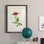 «Pretty Botanicals II», cadre photo-341834855-341834848
