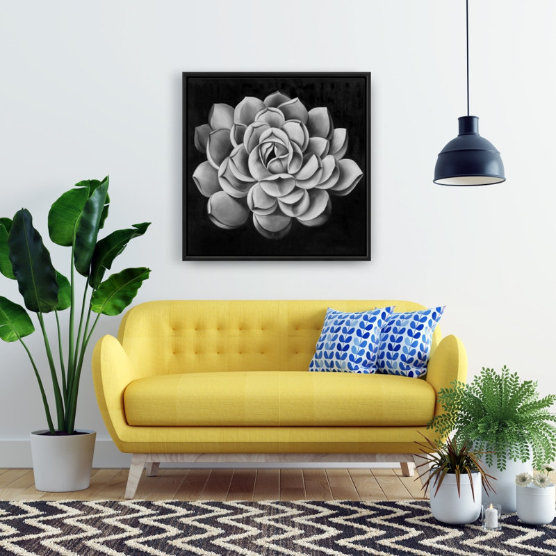Black and white succulent - 24"x24" Framed canvas