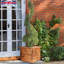 Scandinavian Redwood Handmade Wood Planter Box-186467085