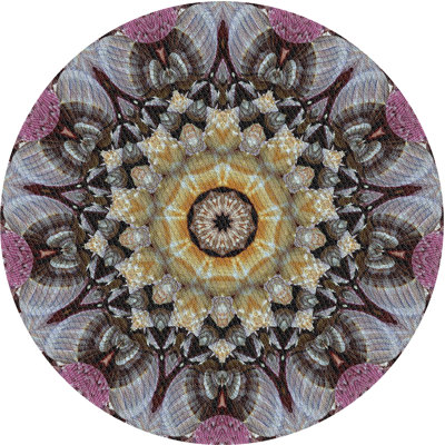 Indoor Rug