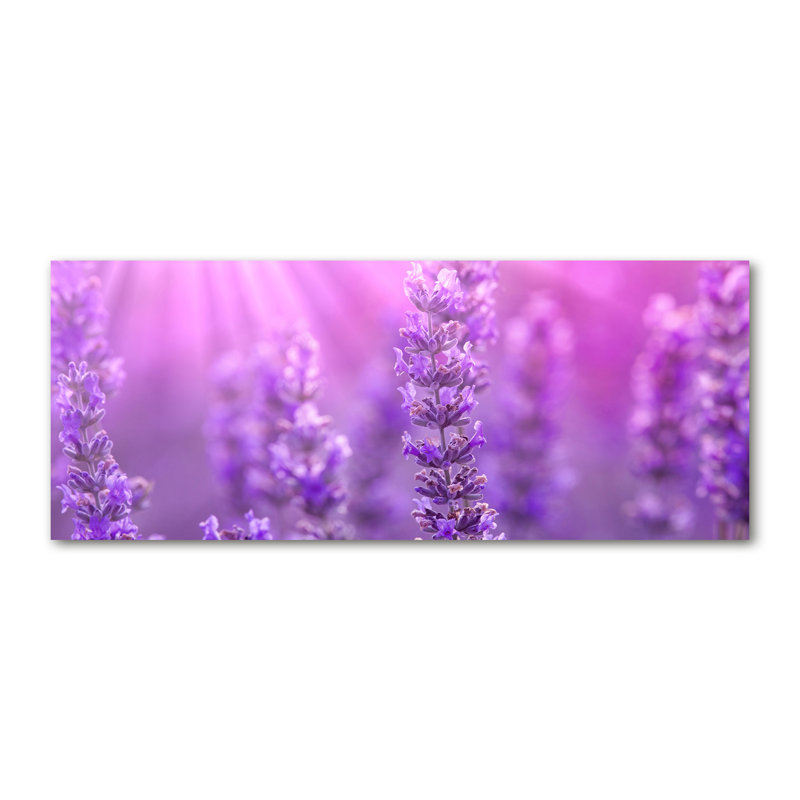 Lavender - Wrapped Canvas Print