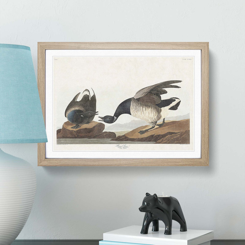 Brant Geese by John Audubon - Picture Frame Painting Print, Oak Framed, 27cm H x 36cm W x 2cm D