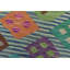 Wool Oriental Indoor Rug