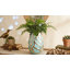 Vase de table Addington en céramique Addington-1842714678