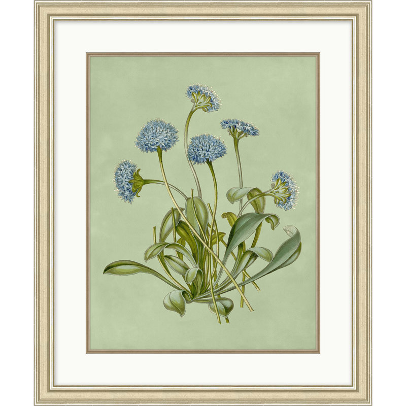 Sage and Blue Botanical 6
