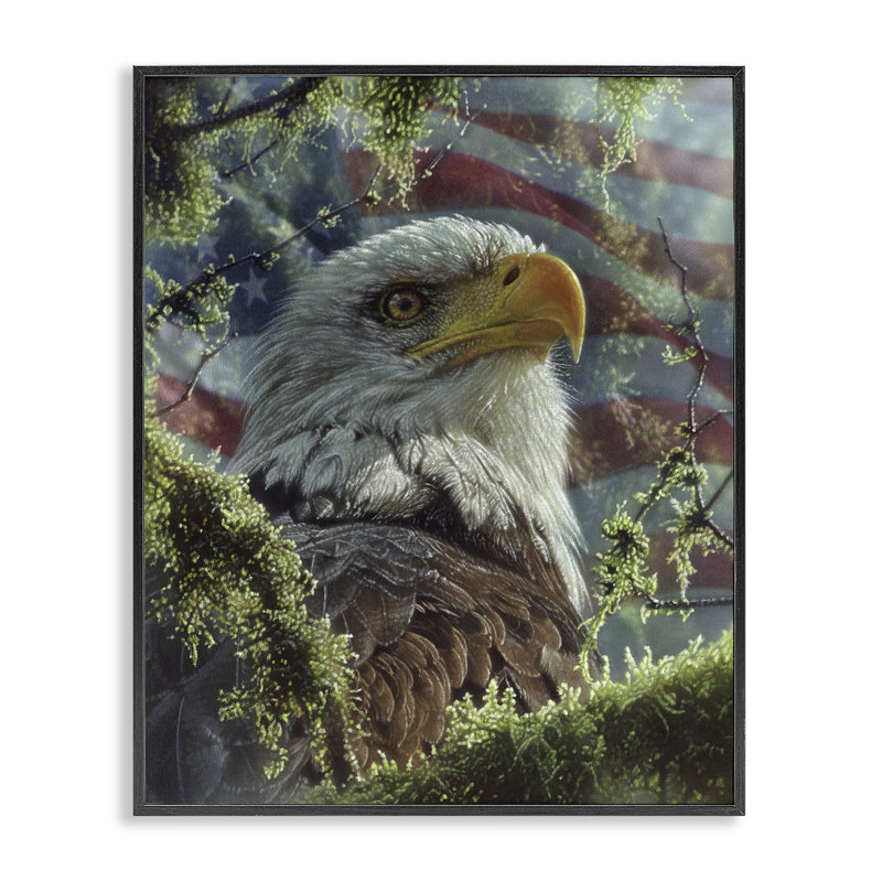 High & Mighty America, estampe numérique, conception de Collin Bogle, H 14 po x l 11 po, Giclée encadrée noir minuit