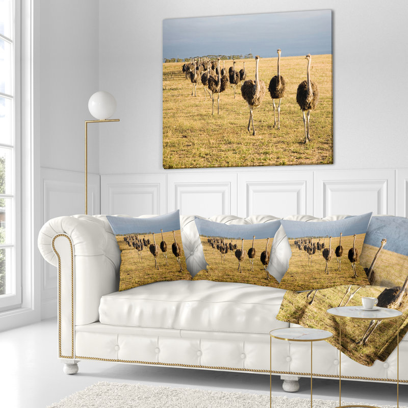 Coussin décoratif autruches d'Afrique en Afrique du Sud, 18 po x 18 po, Coussin décoratif