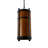 Beartooth 6 - Light Wrought Iron Unique/Statement Pendant