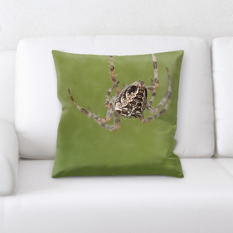 Coussin de spider