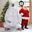 Très jolie statue d'ours assis-81230801