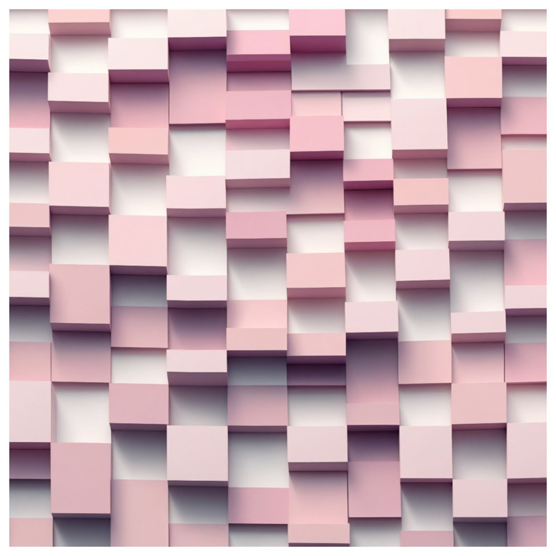 Coussins roses à double face, 20 x 20 inches