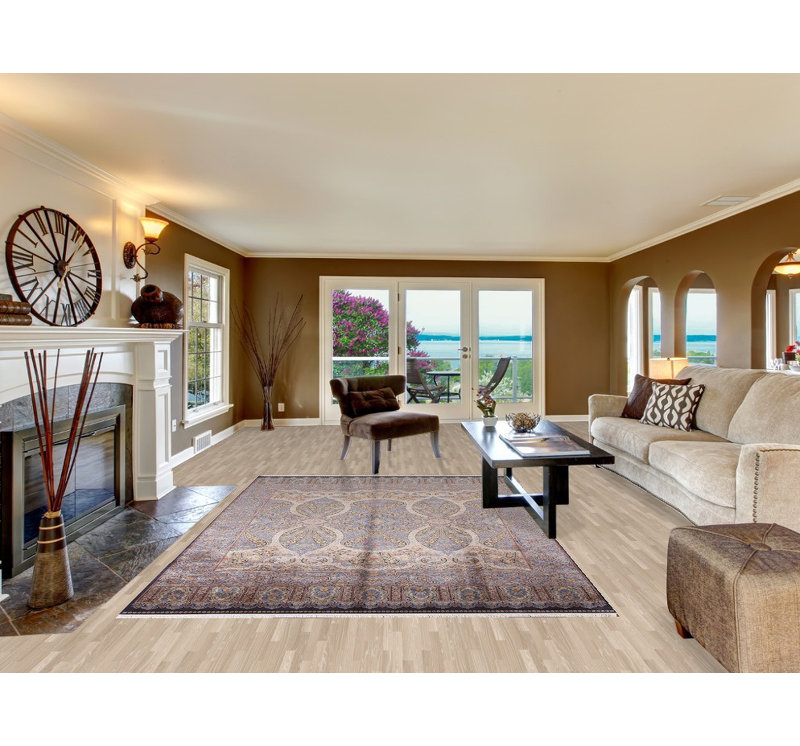 Traditional Oriental Area Rug 7x10