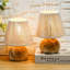 Wood Desk Lamp