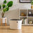 IRIS Plastic Enclosed Litter Box with Scoop-409141639-409141636
