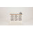 Exum Accent Chest-1072507151