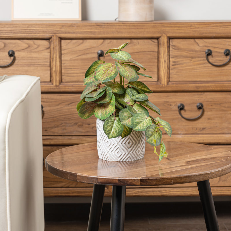 Artificial Plant
