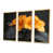 Gold Floater Framed Canvas