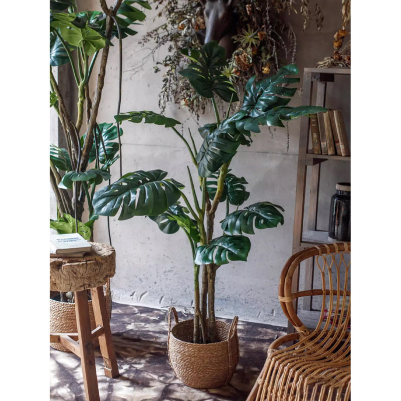 Grande plante de bambou verte à l'arrière, H 70,87 po x l 12,60 po x P 12,60 po