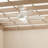 56'' Ceiling Fan with LED Lights-1048296199