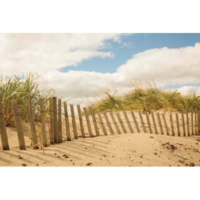 Dunes de plage I