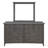 Carolo Rectangle Mirror