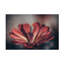  Art mural sur toile Nathan Larson-101102269