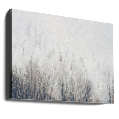 Paysage de roseaux et d'herbes