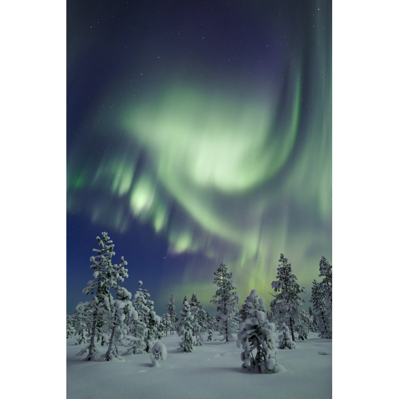 Aurora Dance by RainbowJoe - Wrapped Canvas Print, 91cm H x 61cm W
