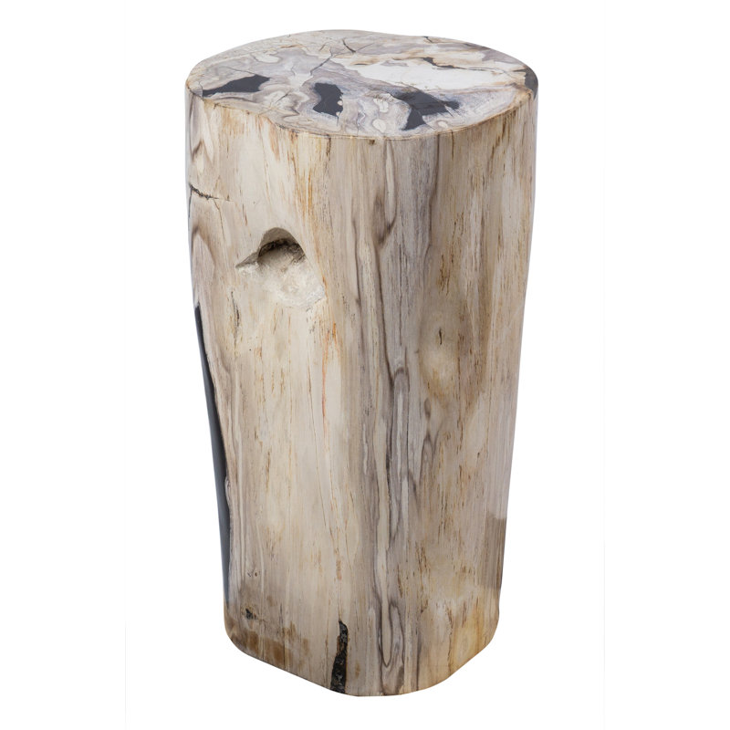 Table de bout Fossil Relics