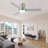 Amici Modern 48'' Flush Mount Ceiling Fan with LED Lights and Remote Control-107731972