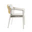 Chaise d'extérieur avec coussin et cadre en fer 2 pièces Fauteuil avec chaises tissées et imperméables Fabrication imperméable Apparence confortable Gris météo