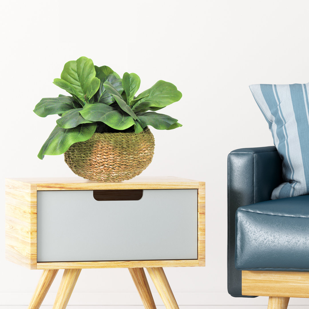 15'' Faux Fiddle Leaf Fig Plant in Wicker/Rattan Basket Sand & Stable™