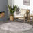 Brielle SpinClean Machine Washable Vintage Medallion Area Rug-234059496