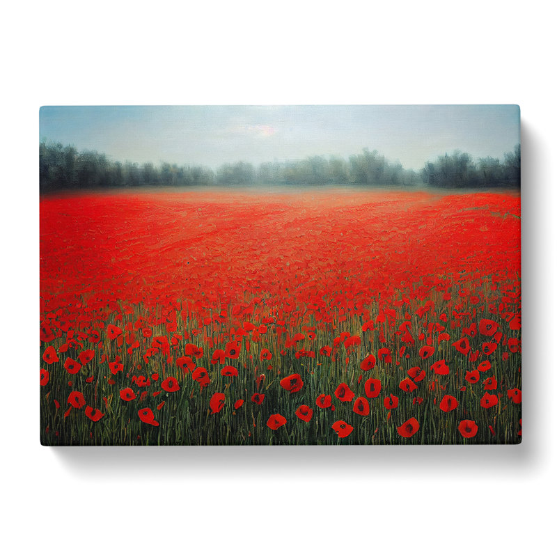 Irresistible Poppy Field Flowers - Wrapped Canvas, 35cm H x 50cm W x 3cm D