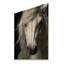 Cheval blanc sérénité - reproduction d'animaux sur bois de pin naturel-1391043002