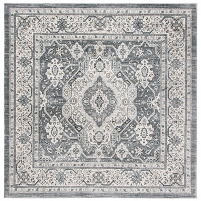 Aaylie Performance Oriental Rug