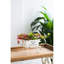 Biddlestone Iron Indoor / Outdoor Wheelbarrow Planter