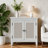 Azareyah 2 Door Storage Cabinet-1944996684