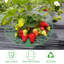 Support pour plante Temelko