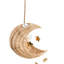 1 - Light Natural Novelty Pendant
