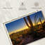 Coucher de soleil sur le parc national Harnek Saguaro-107844958
