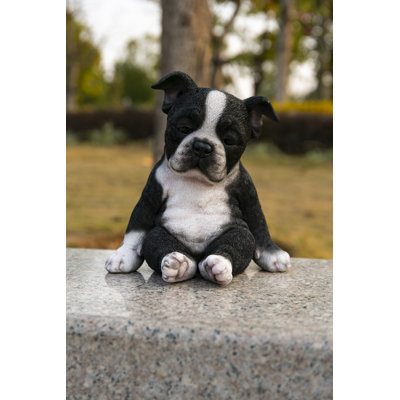 Sleepy Boston Terrier Puppy Statue Sitting
